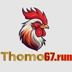 THOM run