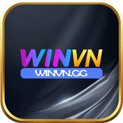 Winvn gg