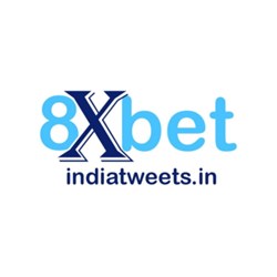 xbet Daily