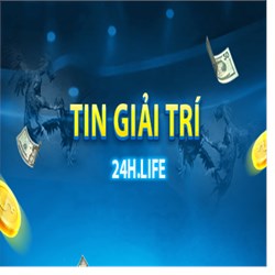 tingiaitri life