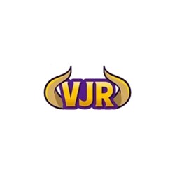 Viking Junk Removal