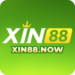 XIN NOW