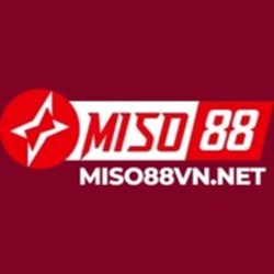 miso vnnet