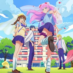 Animix Playvc