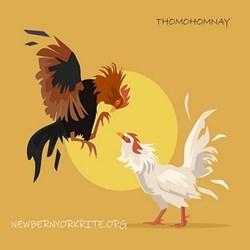 thomohomnay newbe