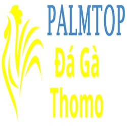dagapalm top