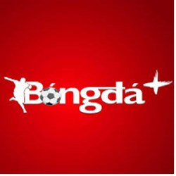 org bongda2024