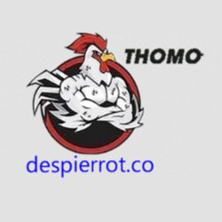 ĐÁ GÀ THOMO TRỰC TIẾP