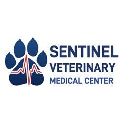 Emergency Vet Missoula