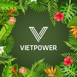 Vietpower Teambuilding