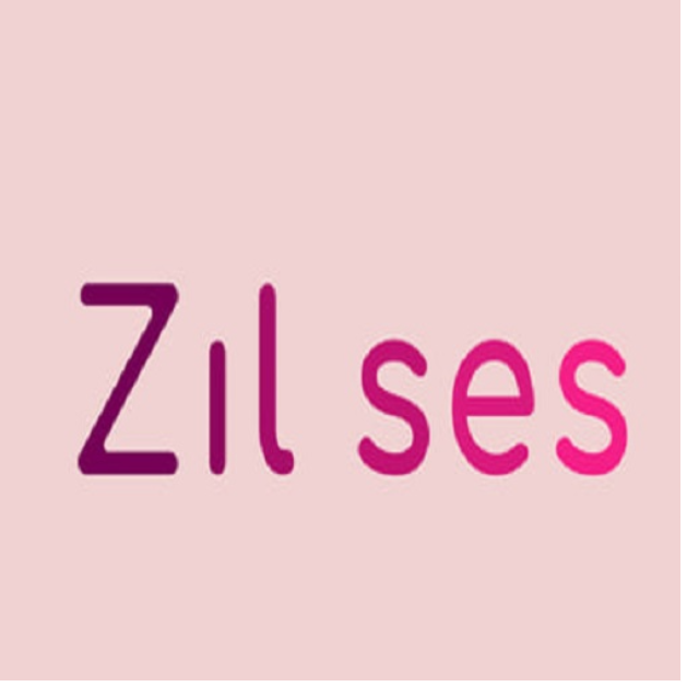 Zil ses