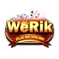 WERIK Top