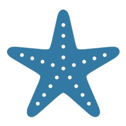 Starfish Recovery and Wellness Richmond VA