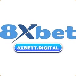 xbett digital