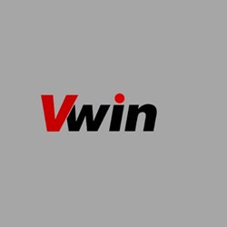 Vwin fund