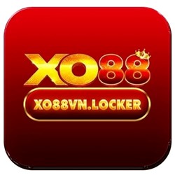 XO VN