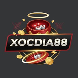 Xocdia Tamtam
