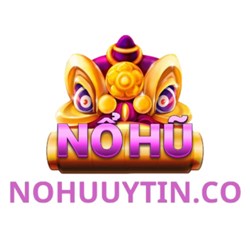 NOHUUYTIN CO