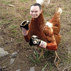 Darwin Kodok