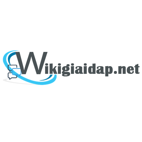 wiki giaidapnet