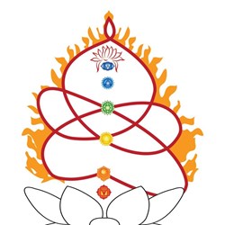 Yoga Vini