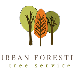 Urban Forestry Tree Service
