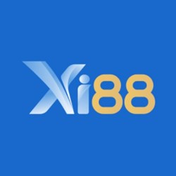 XI Blog