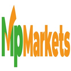 MP Markets Brandento