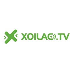 Xoilac articlereviewwriting