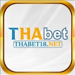 THABET net