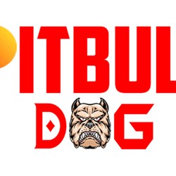 Pitbull Dog