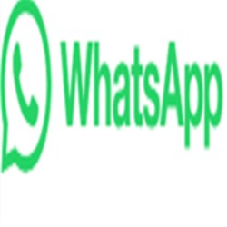 whatsapps web