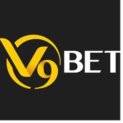 Vbet P Pro