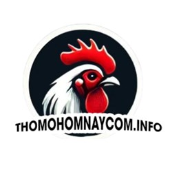 TRANG TRỰC TIẾP ĐÁ GÀ THOMO