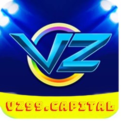 vz capital