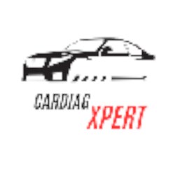 CarDiagXpert Repair Online