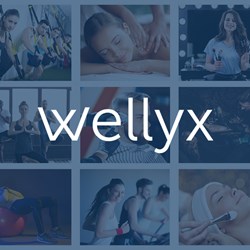 Wellyx Software