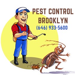 Pest Control Brooklyn