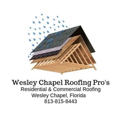 Wesley Chapel Roofing Pro's