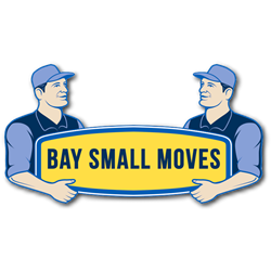 Bay Small Moves