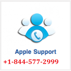 Apple Safari Browser Support Number +1-844-577-29