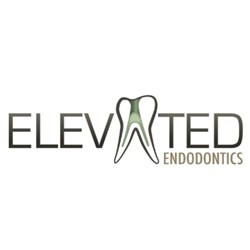 Elevated Endodontics