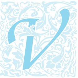 Vedas Medical Spa & Wellness Center
