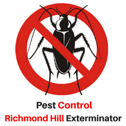 Pest Control Richmond Hill Exterminator