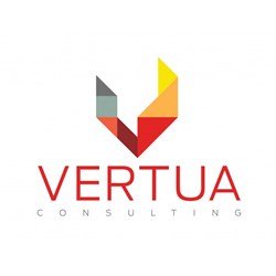 Vertua Business Consulting