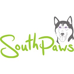 Open Play Dog Daycare
