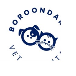 Boroondara Vet Hospital