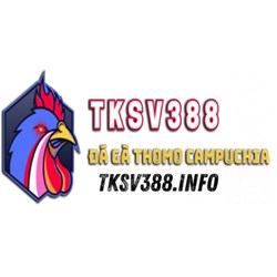 SV388 TK