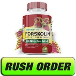 GREEN VIBE FORSKOLIN