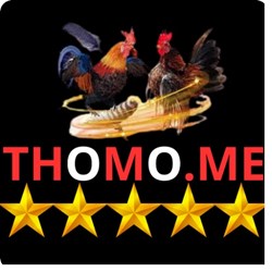 ĐÁ GÀ THOMO